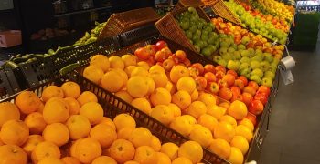 52% of world citrus exports from the Mediterranean